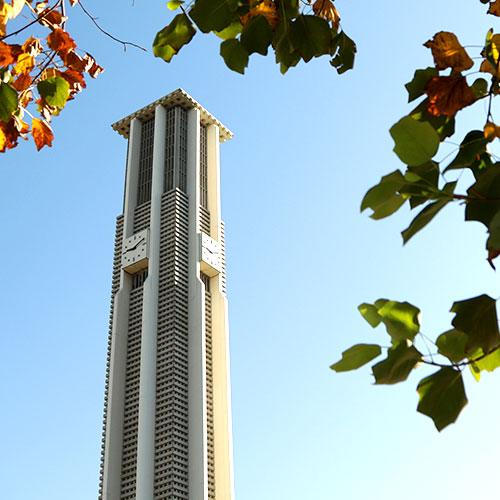 View of the UCR Bell Tower through campus trees.